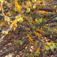 WhatsApp Image 2021-11-02 at 07.04.00 (1)